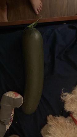 Smushmart pickle