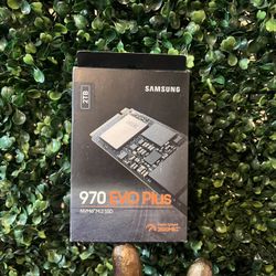 Samsung 970 Evo Plus 2tb