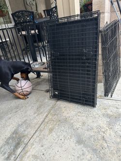 Dog Crates 