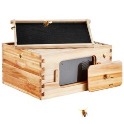 Bee Hive Deep Box Starter Kit,
