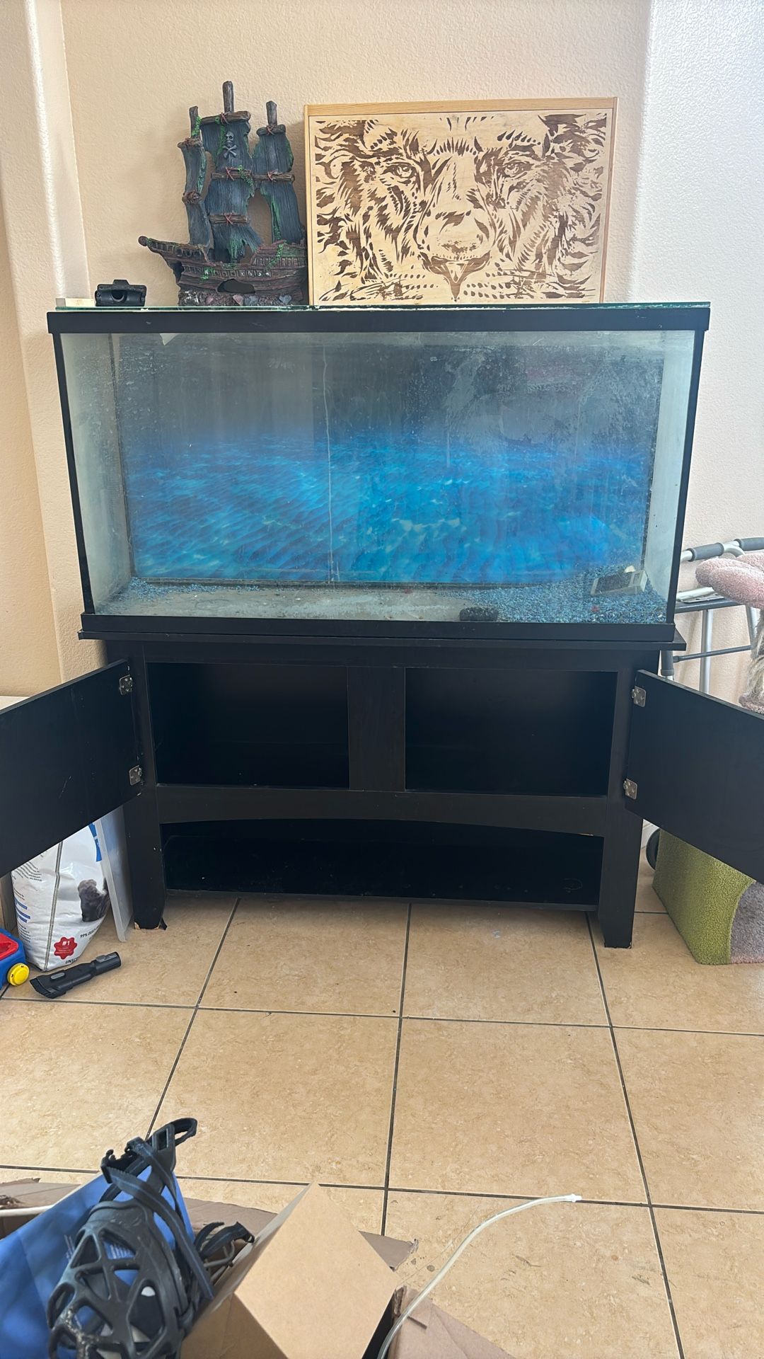 Fish Tank