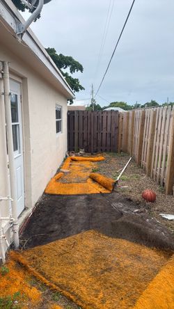 Orange turf