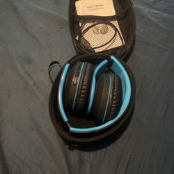 WH-816 Bluetooth Headphones 