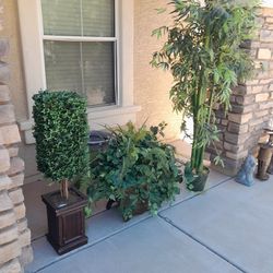 3 1/2 Ft Topiary Tree $20, Large Artificial Plants $25 And 7ft Tall Artificial Bamboo Palm Tree $45