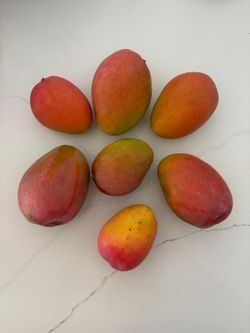 Sweet Homegrown Mangoes - Miami