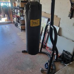 Punch Bag