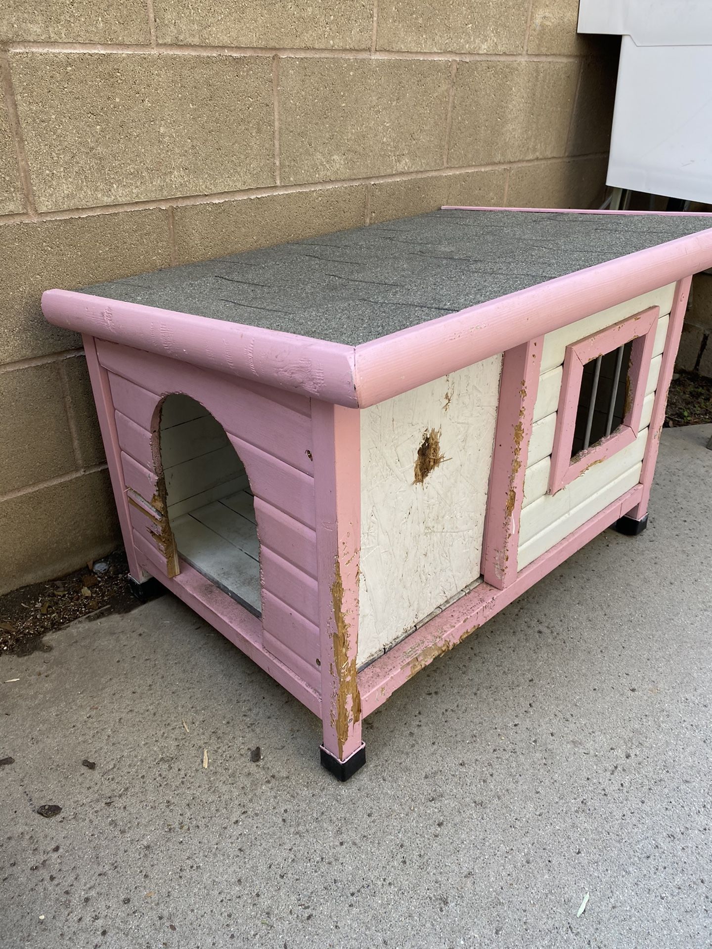 Dog house