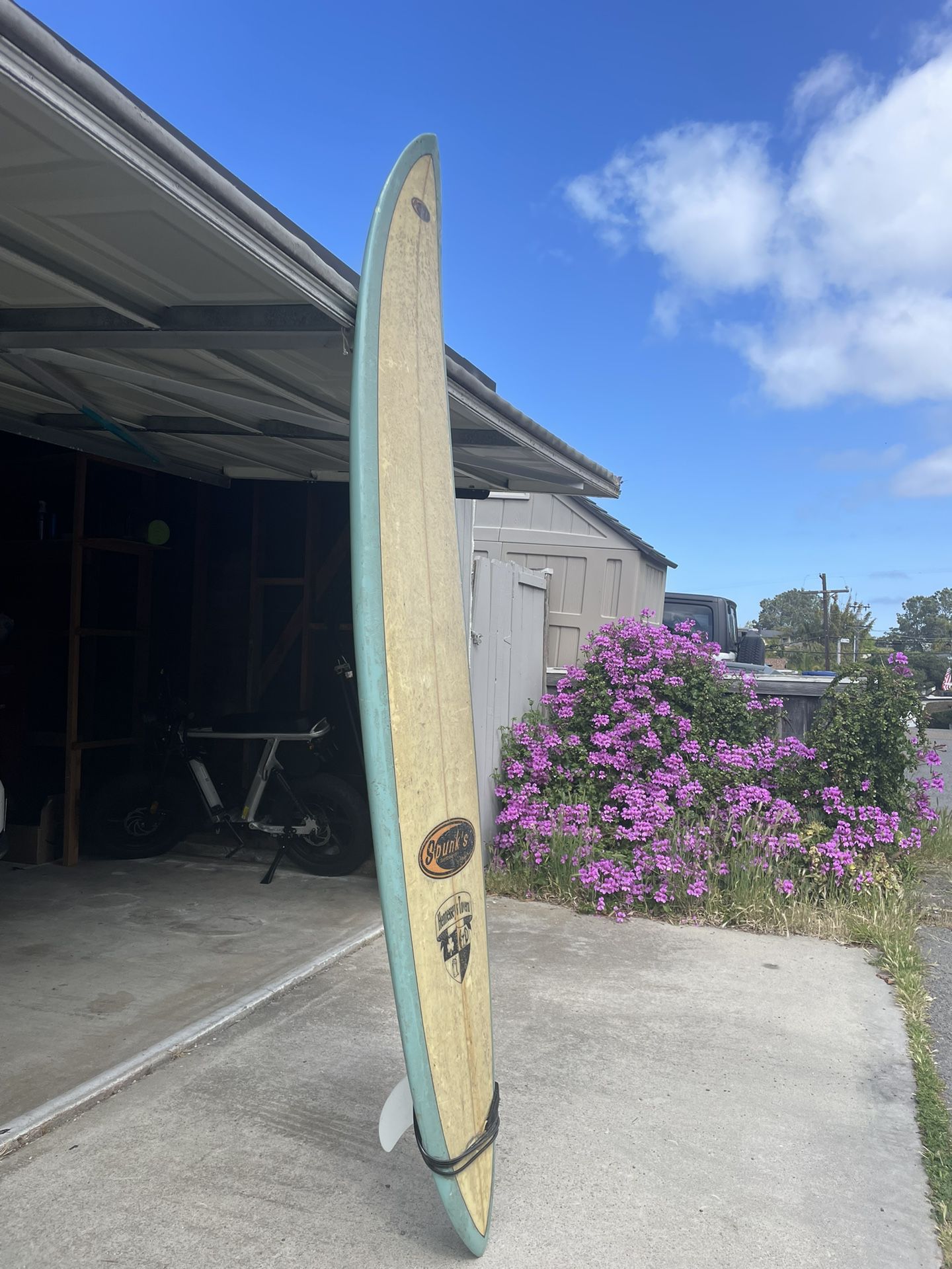 Long Board Surfboard 