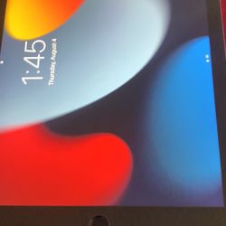 iPad Pro Cellular Plus Case And Ipen