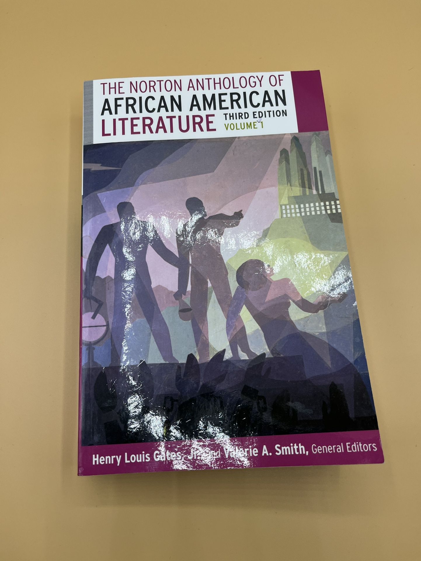 The Norton Anthology of African American Literature (Paperback