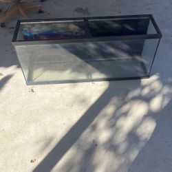 55 Gallon Fish Tank