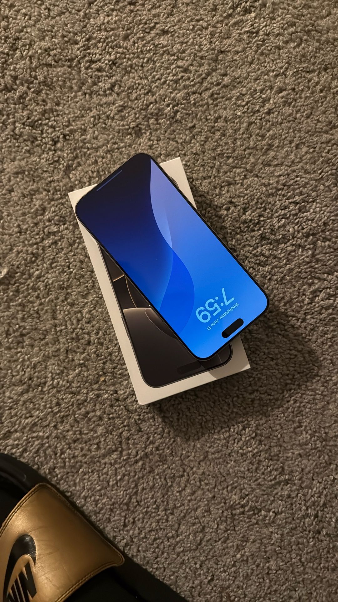 iPhone 16 Pro Max