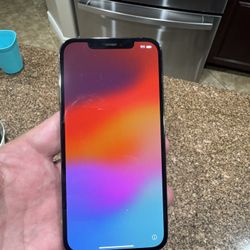 iPhone 12 Pro Max (256)