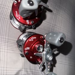 Fishing Reel 