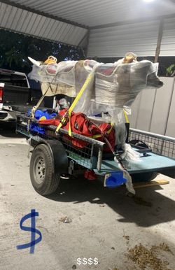 Toros Mecánicos Nuevos 