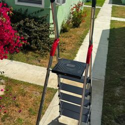 6 ft Ladder 