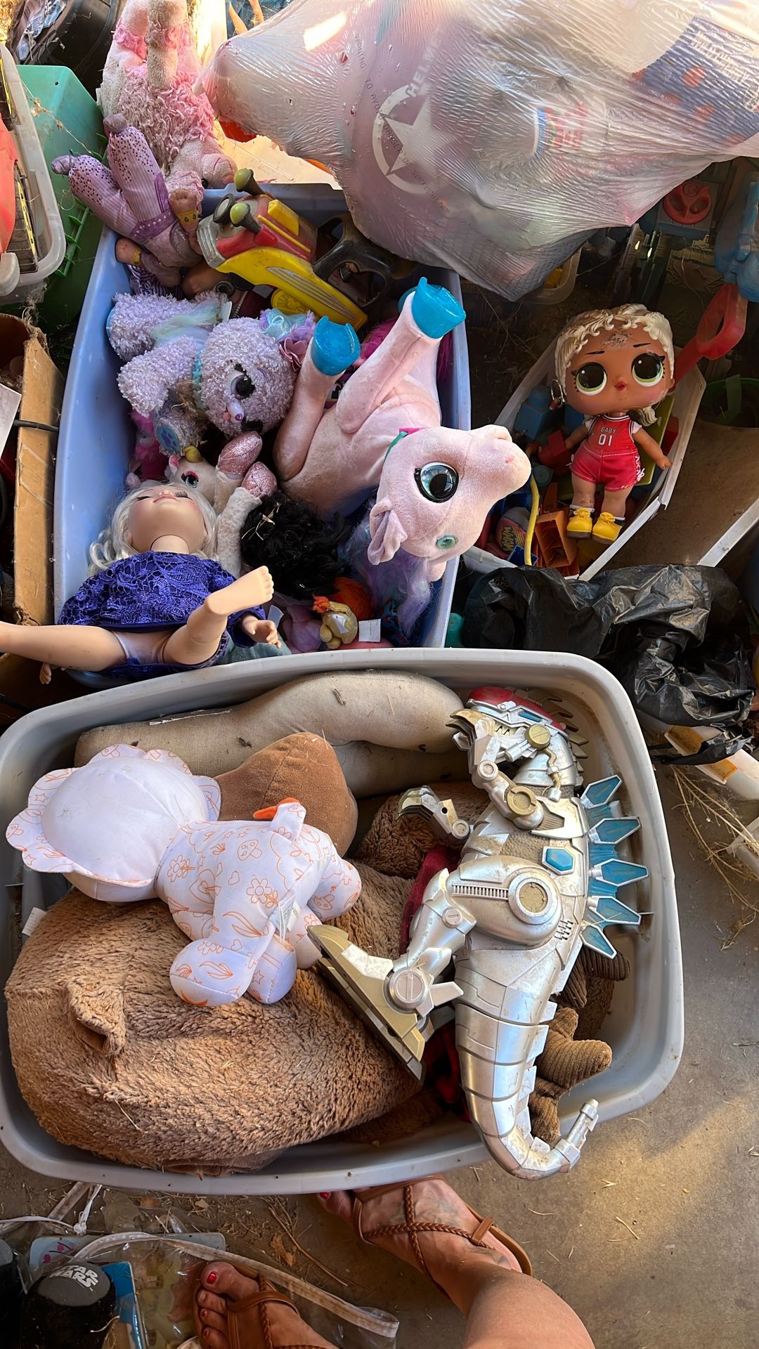 Free Items