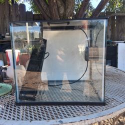 Fish Aquarium 