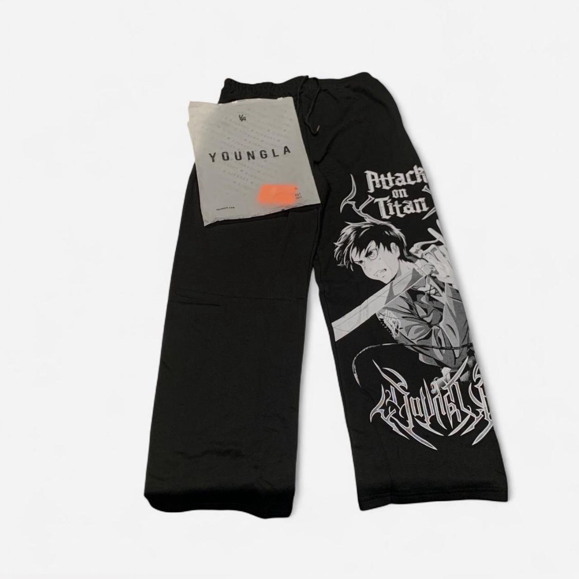 AOT ⚔️ YoungLa sweatpants