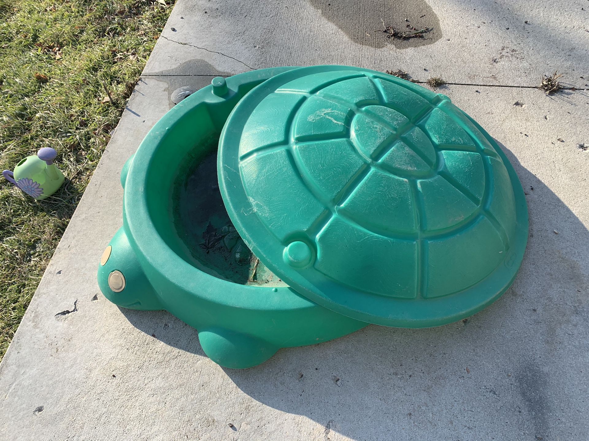 Sandbox turtle