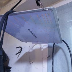 Spider farmer Sf1000