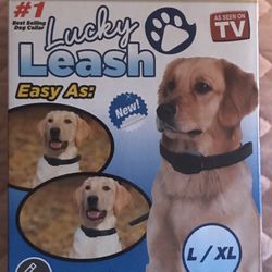 Leash And Collar 