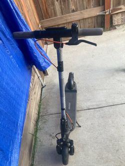 Ninebot Segway  Scooter