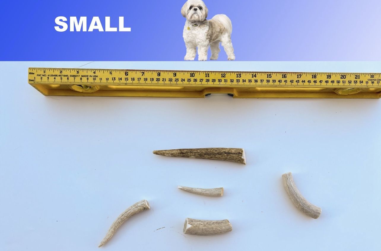 Elk Antler Dog Chews - Multiple Sizes