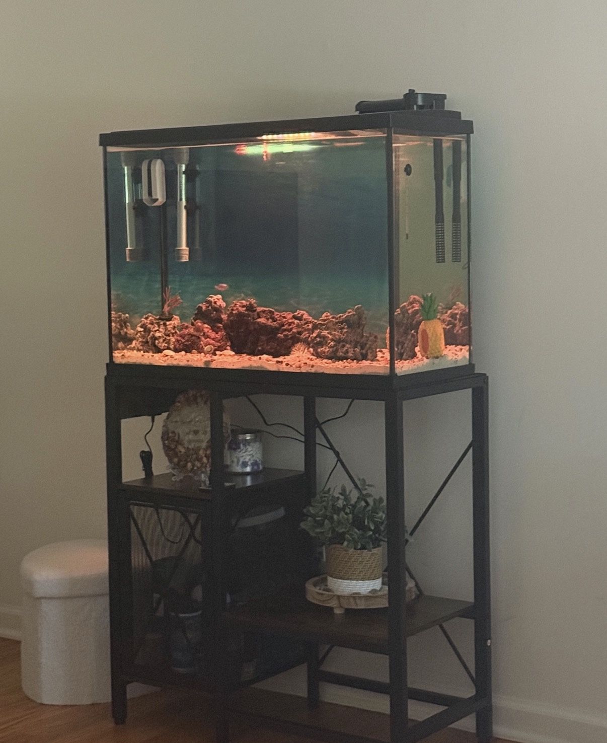 29 Gallon Fish Tank With Stand