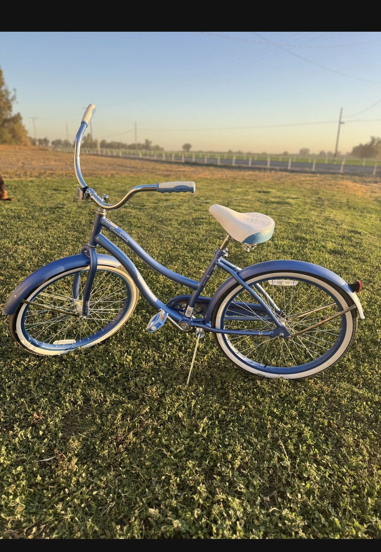 24”in Cruiser Bike