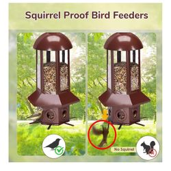 Professional bird Feeder 