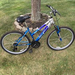 26” Mountain Bike 
