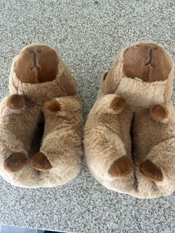 Cozy Capybara Slippers