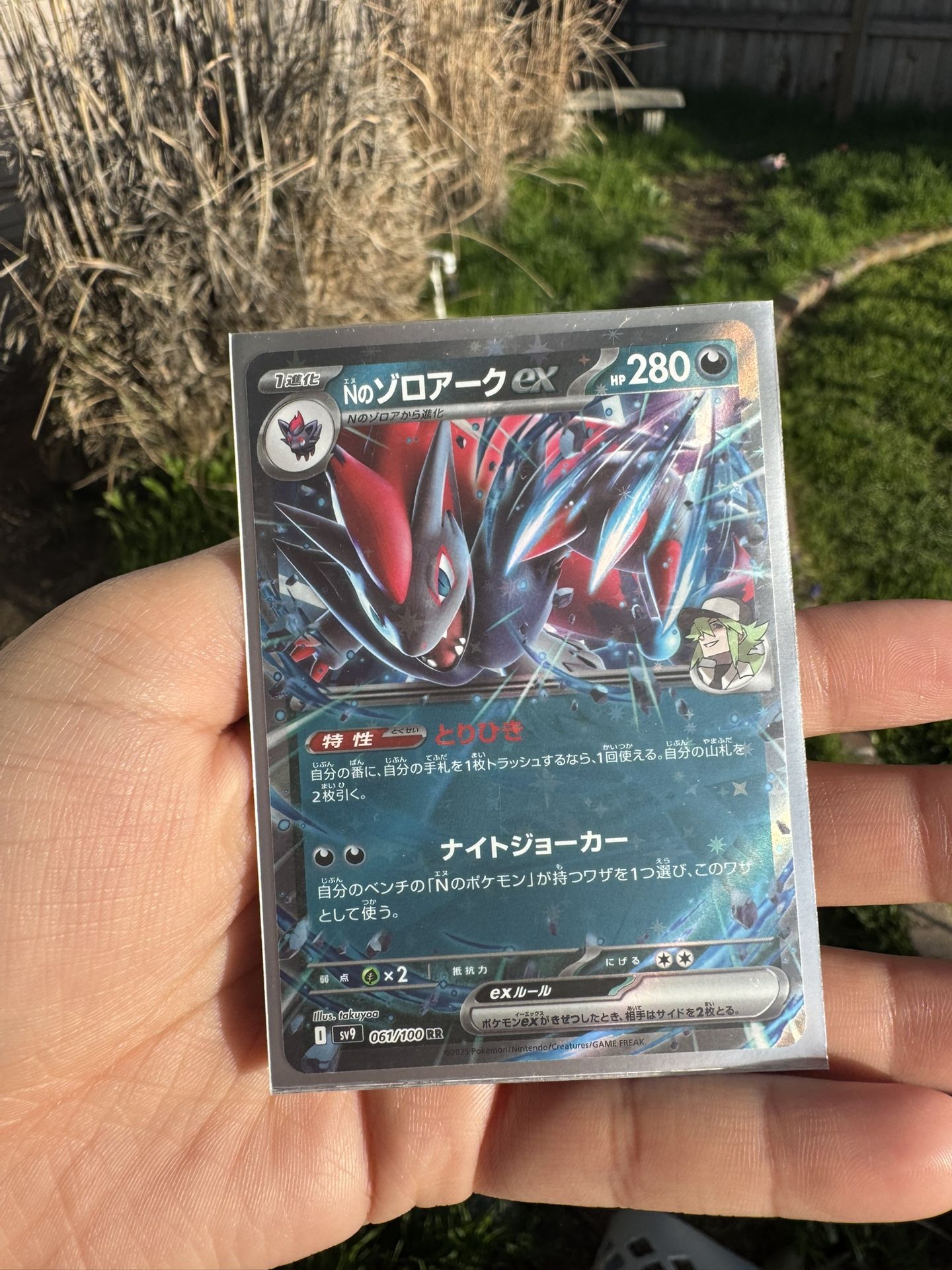 Zoroark Ex Japanese Pokémon
