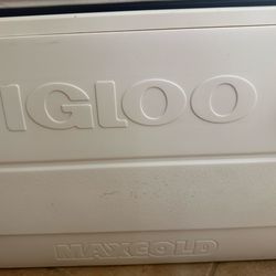 Igloo Maxcold 150qt cooler with 2 xxl ice packs