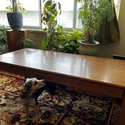 Beautiful Mid Century Coffee Table 