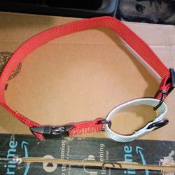 Large Dog Collar