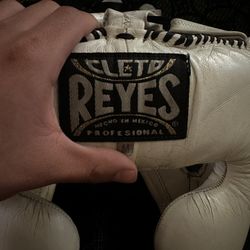 Boxing Professional Headgear 