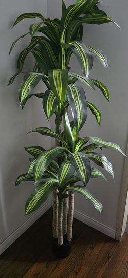 Large Artificial Dracaena Tree Plant