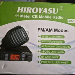 40 Ch CB AM/FM  100