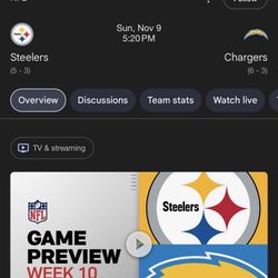 Green Lot Parking Pass (Steelers Game)