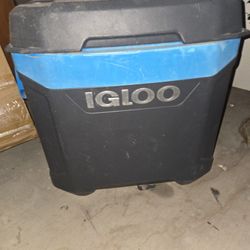 Rolling Igloo Cooler