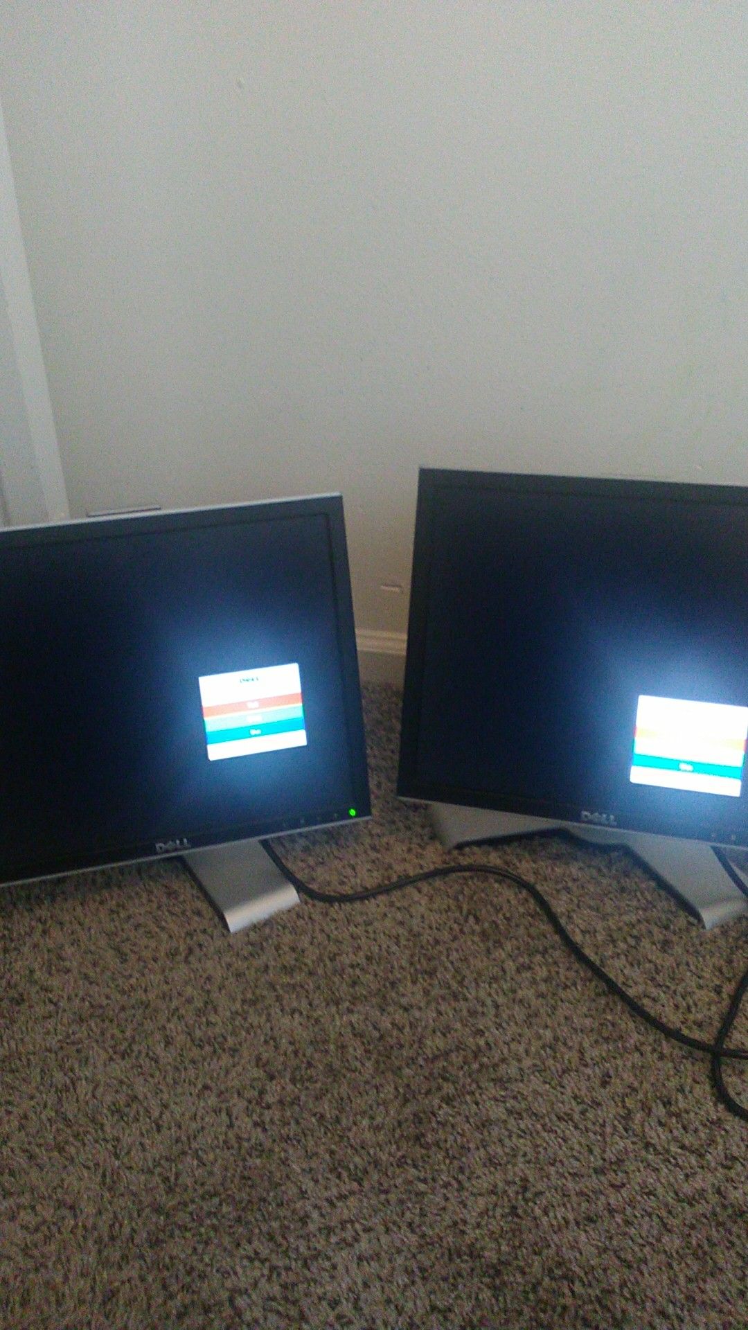 Dual monitors (Dell)