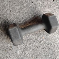 Single one black vinyl coated 10 lbs Weight sports  Dumbbell.