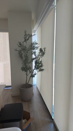 Faux olive tree + planter