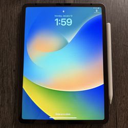 Apple iPad Pro - 11 Inch. WiFi. 64 GB. Space Gray Color. 