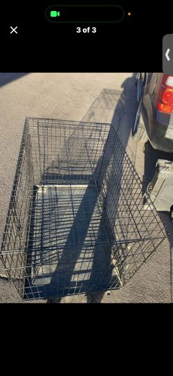 Xl kennel