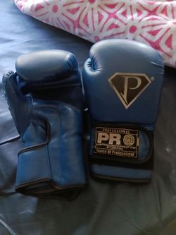 Blue Pro Boxing Gloves