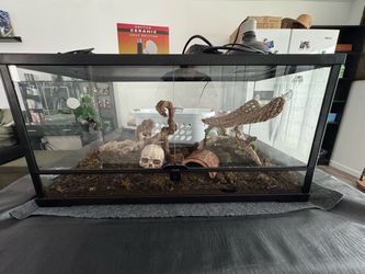 40 gal tank + accessories