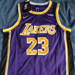 Anthony Davis Los Angeles Lakers Jersey NBA